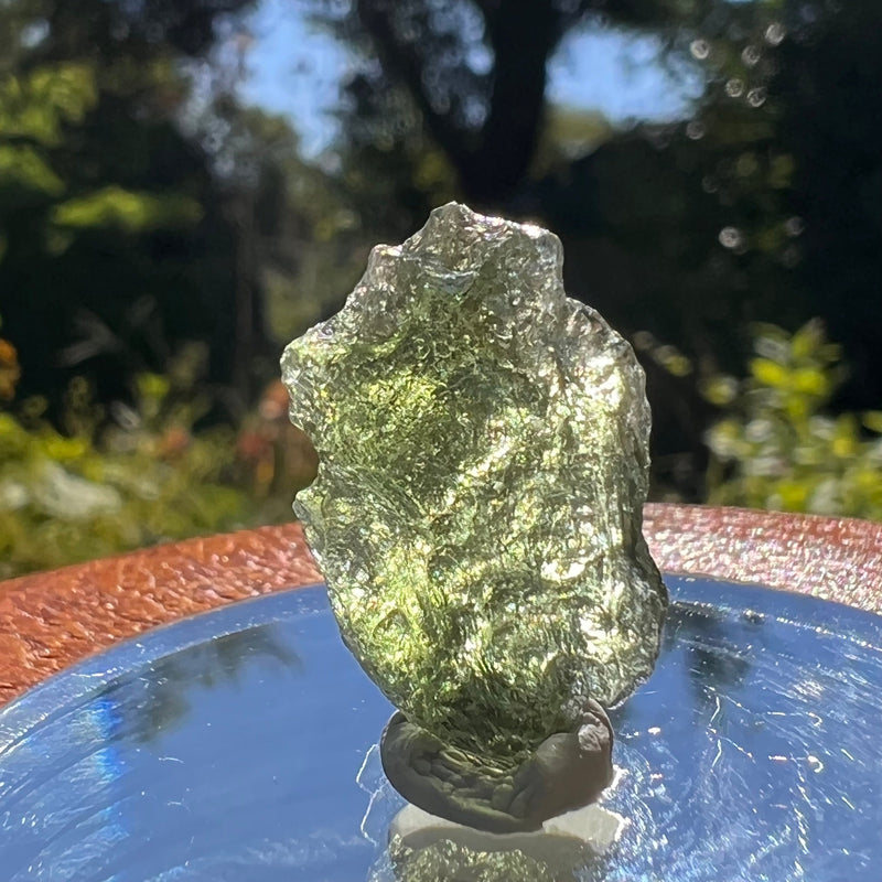 Moldavite 1.7 grams #1604-Moldavite Life