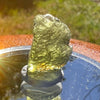 Moldavite 1.7 grams #1655-Moldavite Life