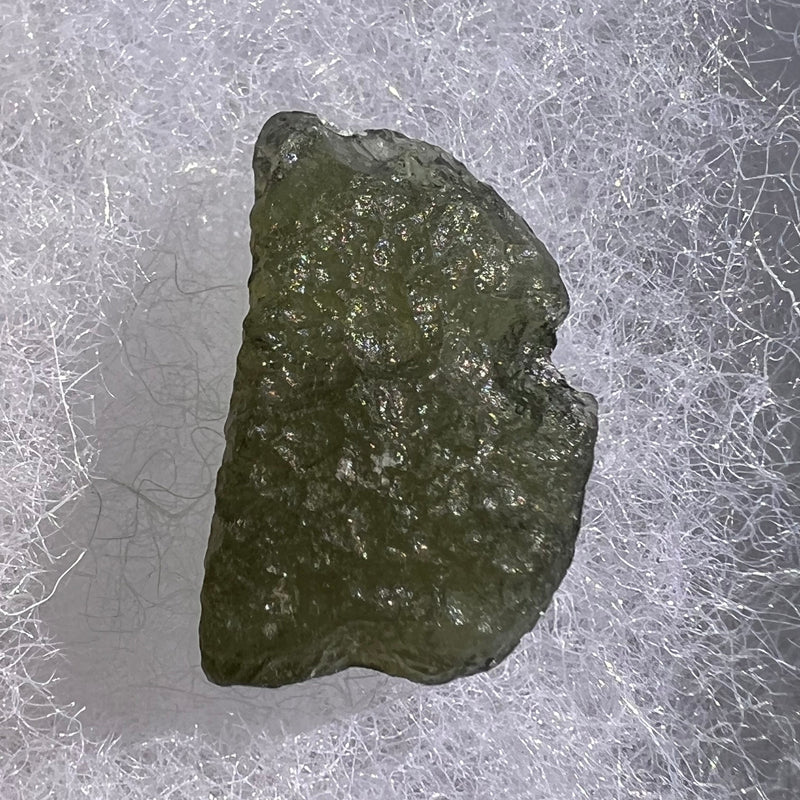 Moldavite 1.7 grams #1655-Moldavite Life