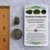 Moldavite 1.7 grams #1655-Moldavite Life