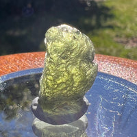 Moldavite 1.7 grams #1655-Moldavite Life