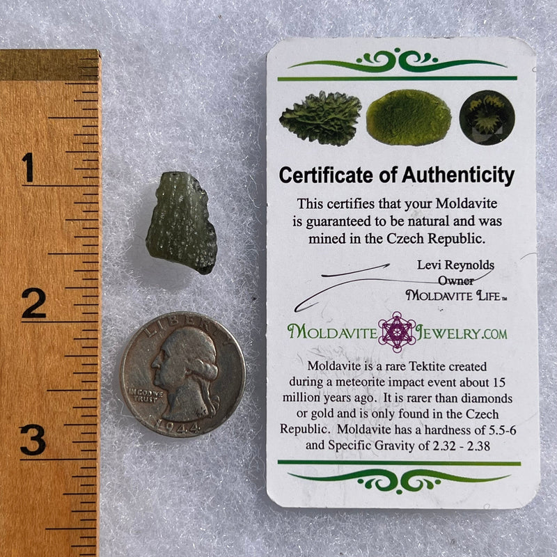 Moldavite 1.7 grams #1656-Moldavite Life