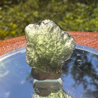 Moldavite 1.8 grams #1450-Moldavite Life