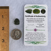 Moldavite 1.8 grams #1496-Moldavite Life