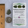 Moldavite 1.8 grams #1518-Moldavite Life