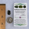 Moldavite 1.8 grams #1552-Moldavite Life