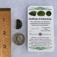 Moldavite 1.9 grams #1497-Moldavite Life
