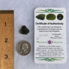 Moldavite 2 grams #1487-Moldavite Life