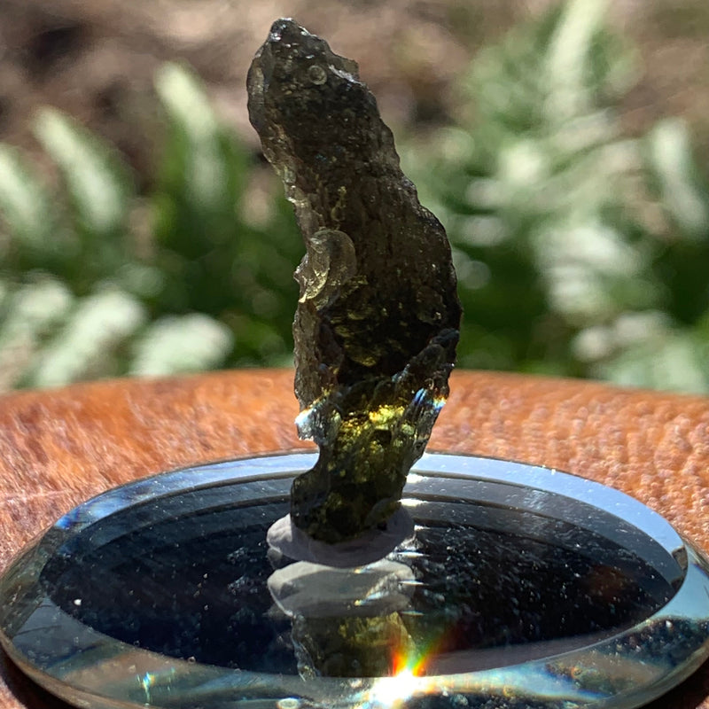 Moldavite 2.37 grams M1375-Moldavite Life