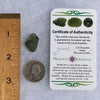 Moldavite 2.1 grams #1577-Moldavite Life