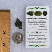 Moldavite 2.3 grams #1479-Moldavite Life