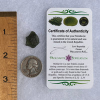 Moldavite 2.3 grams #1509-Moldavite Life