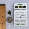 Moldavite 2.4 grams #1506-Moldavite Life