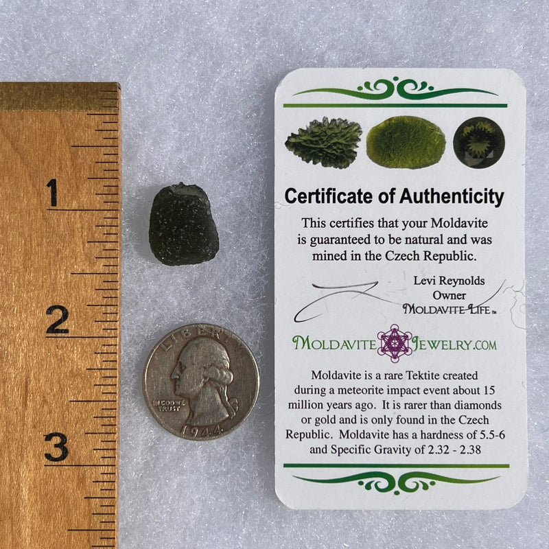 Moldavite 2.5 grams #1456-Moldavite Life