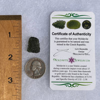 Moldavite 2.7 grams #1499-Moldavite Life