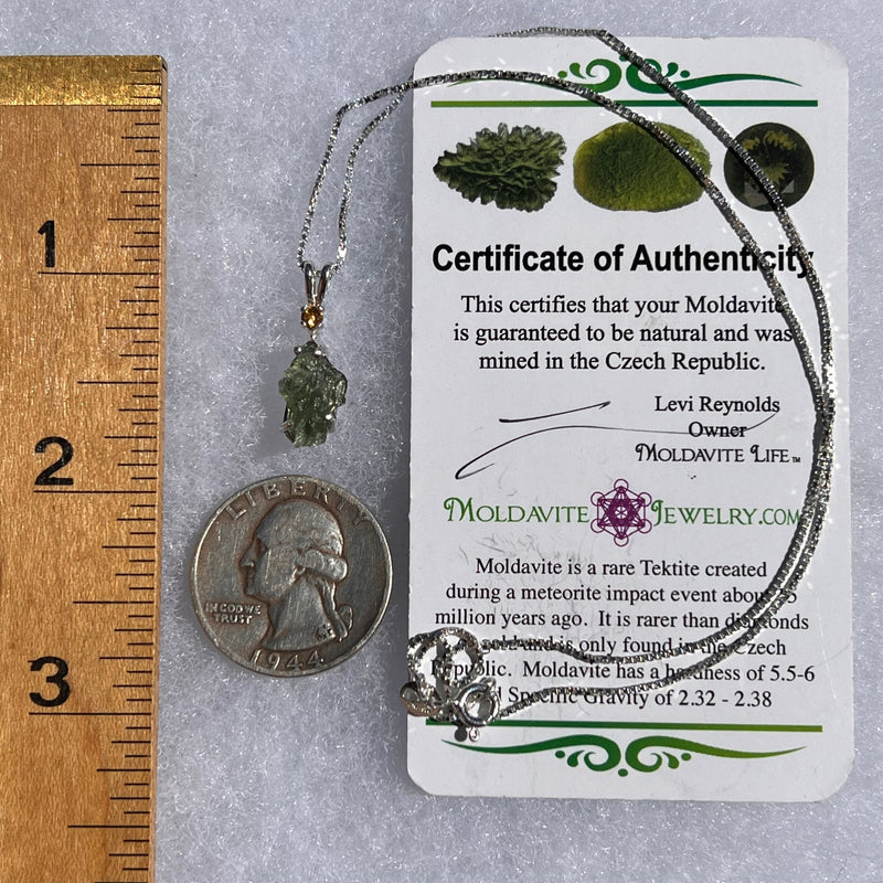 Moldavite & Citrine Necklace Sterling Silver #5010-Moldavite Life