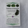 Moldavite Genuine Certified 1 gram-Moldavite Life