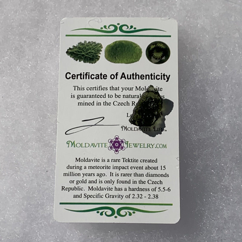 Moldavite Genuine Certified 1 gram-Moldavite Life