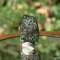 Moldavite Genuine Certified 1 gram-Moldavite Life