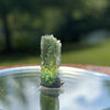 Moldavite 1.2 grams