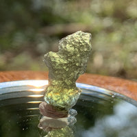 Moldavite Genuine Certified 1.2 grams-Moldavite Life