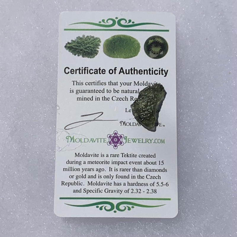 Moldavite Genuine Certified 1.2 grams-Moldavite Life