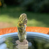 Moldavite Genuine Certified 1.2 grams-Moldavite Life