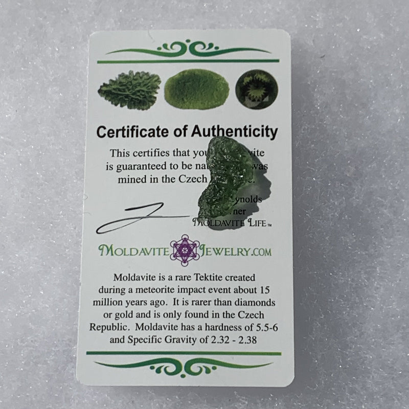 Moldavite Genuine Certified 1.4 grams-Moldavite Life