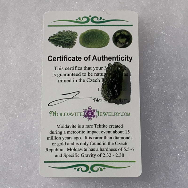 Moldavite Genuine Certified 1.5 grams-Moldavite Life