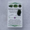 Moldavite Genuine Certified 1.6 grams