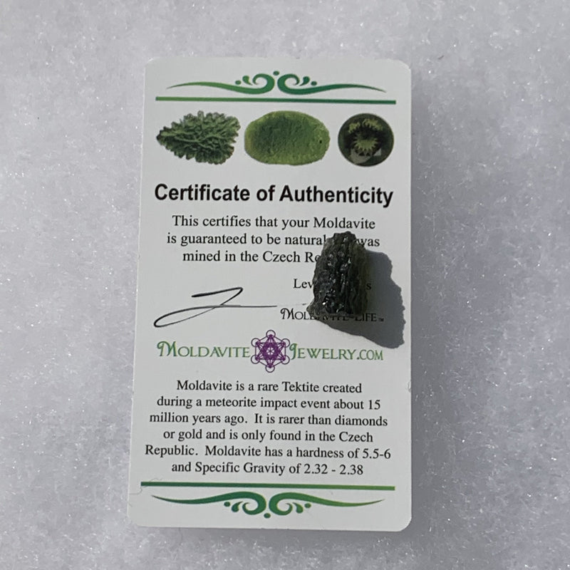 Moldavite Genuine Certified 1.8 grams-Moldavite Life