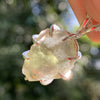 Libyan Desert Glass & Moldavite Necklace Sterling