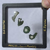 Moldavite Love Letters #8 Limited Edition-Moldavite Life