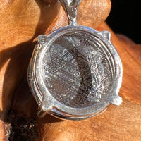 Muonionalusta Meteorite Pendant Sterling Silver #2929-Moldavite Life