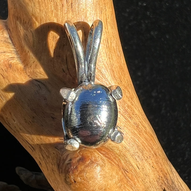 Muonionalusta Meteorite Pendant Sterling Silver #2-Moldavite Life