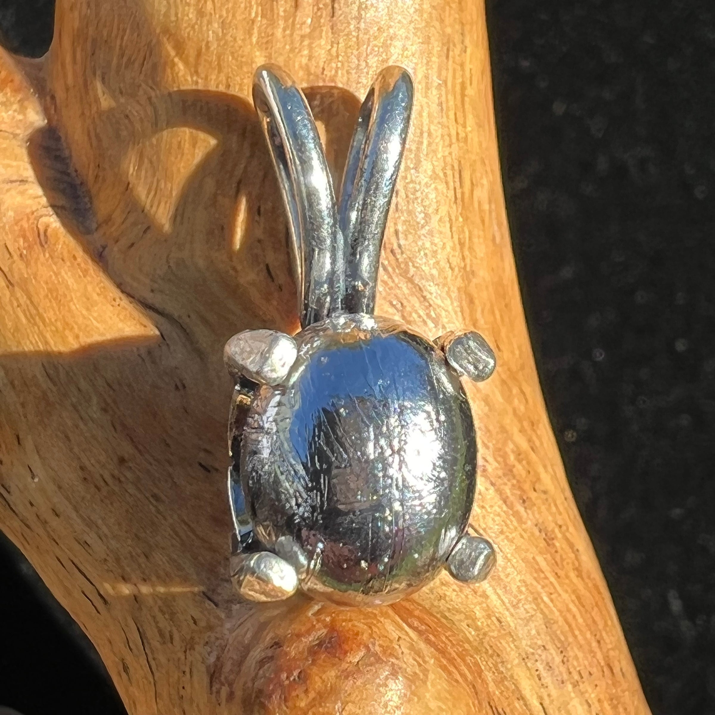 Muonionalusta Meteorite Pendant Sterling Silver #4-Moldavite Life