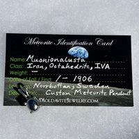 Muonionalusta Meteorite Pendant Sterling Silver #4-Moldavite Life