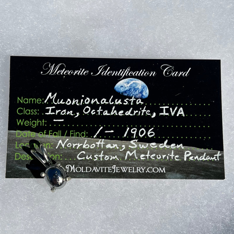 Muonionalusta Meteorite Pendant Sterling Silver #4-Moldavite Life