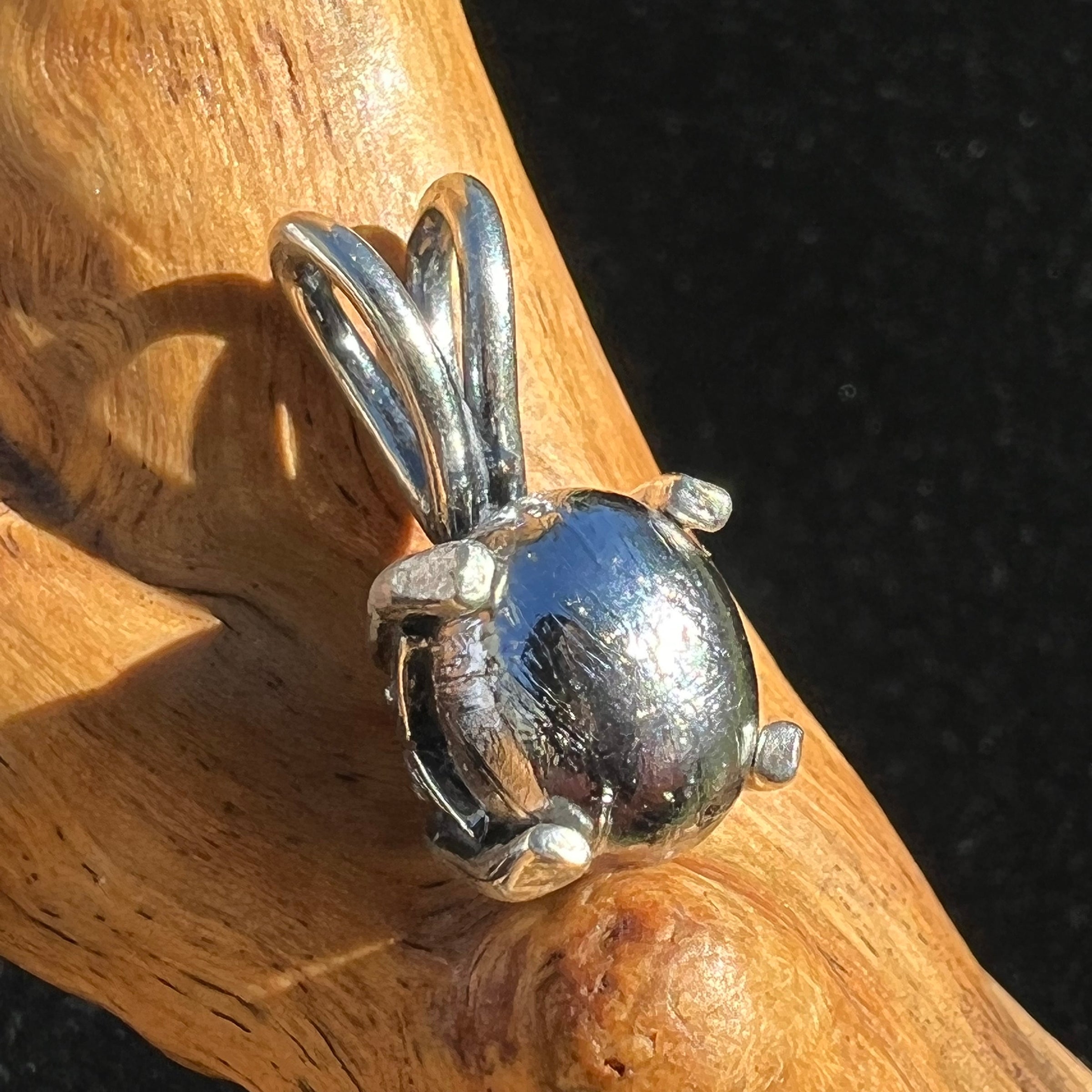 Muonionalusta Meteorite Pendant Sterling Silver #4-Moldavite Life