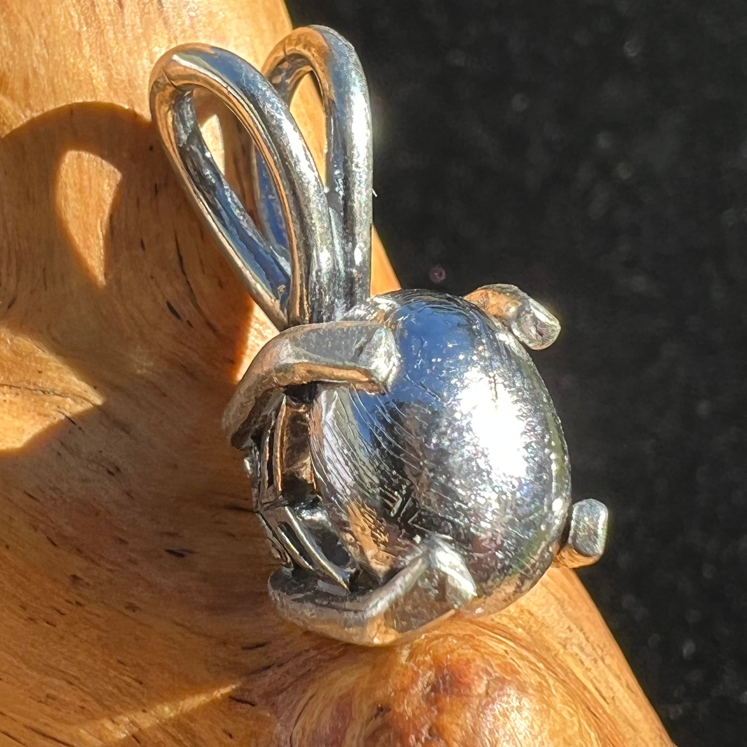 Muonionalusta Meteorite Pendant Sterling Silver #5-Moldavite Life