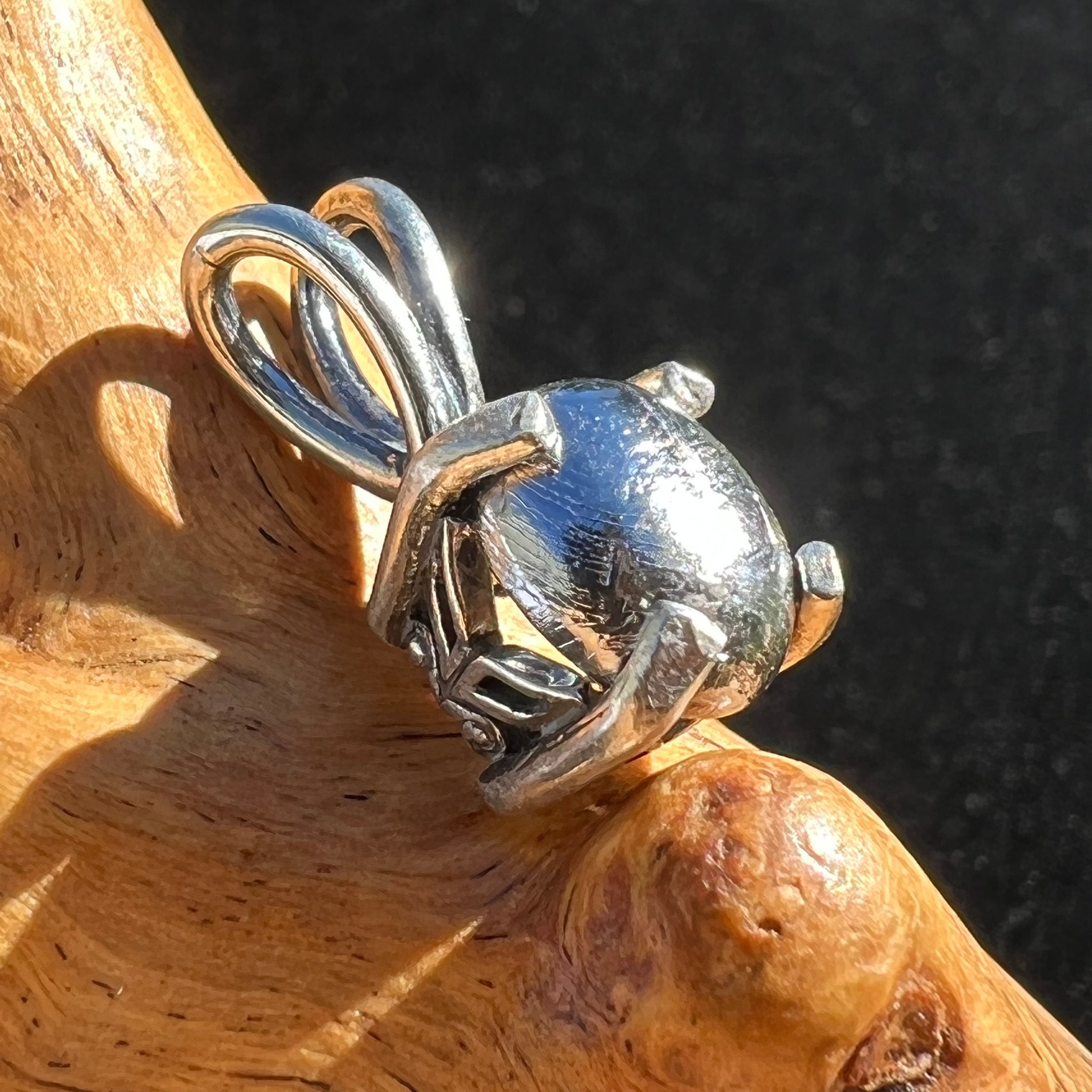 Muonionalusta Meteorite Pendant Sterling Silver #5-Moldavite Life