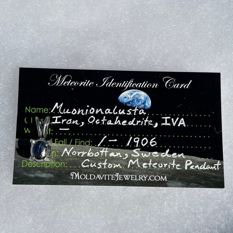 Muonionalusta Meteorite Pendant Sterling Silver #5-Moldavite Life