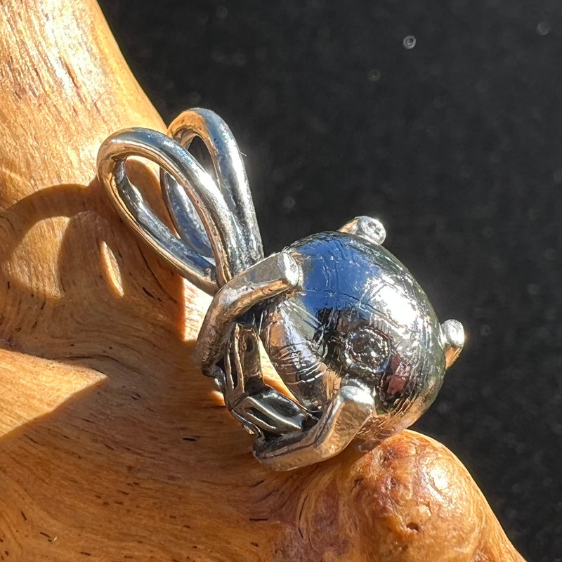 Muonionalusta Meteorite Pendant Sterling Silver #8-Moldavite Life