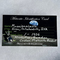 Muonionalusta Meteorite Pendant Sterling Silver #8-Moldavite Life