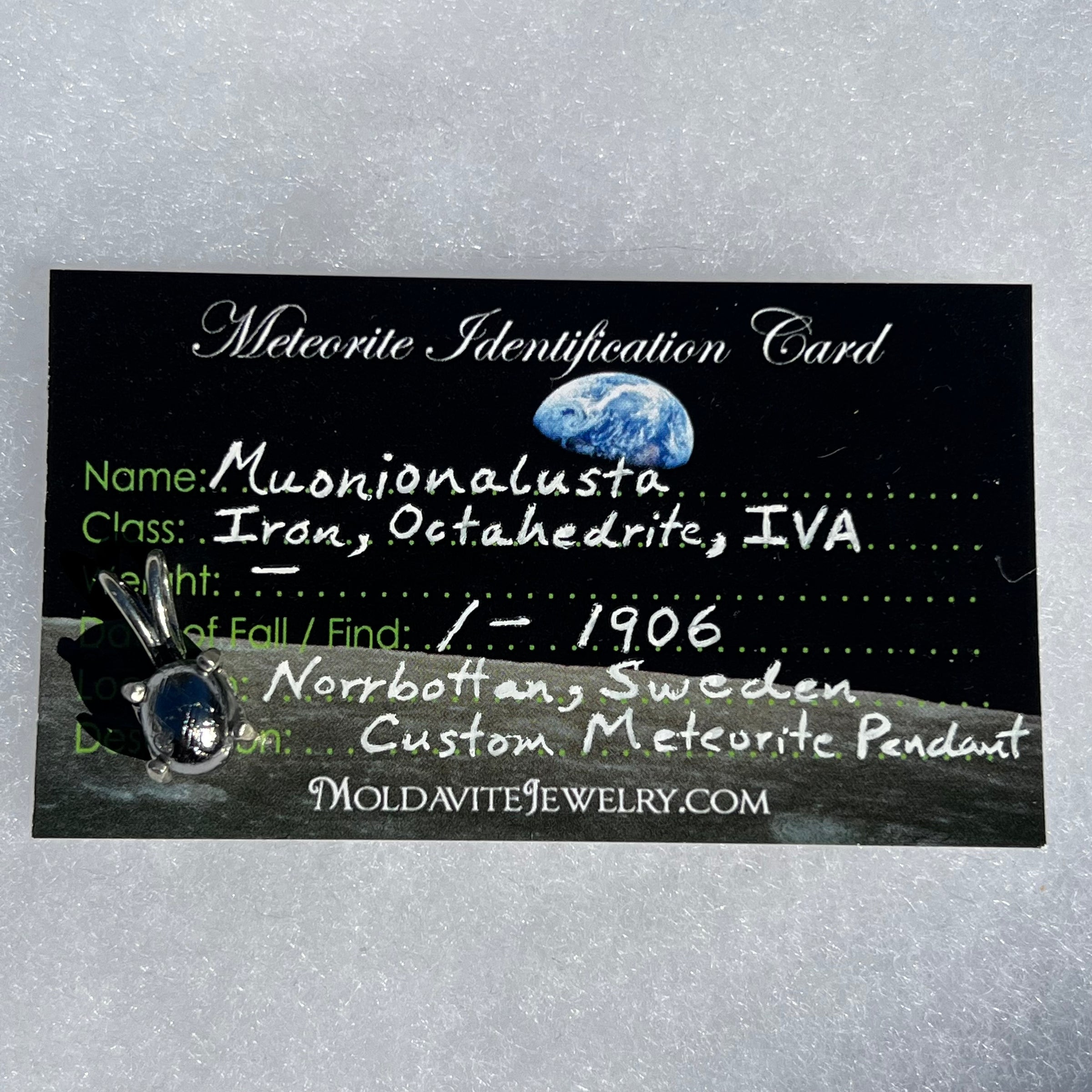 Muonionalusta Meteorite Pendant Sterling Silver #8-Moldavite Life