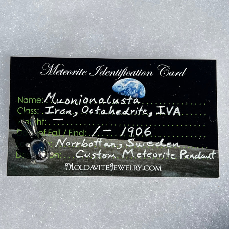 Muonionalusta Meteorite Pendant Sterling Silver #8-Moldavite Life