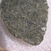 NWA 12269 Mars Meteorite Slice #51-Moldavite Life