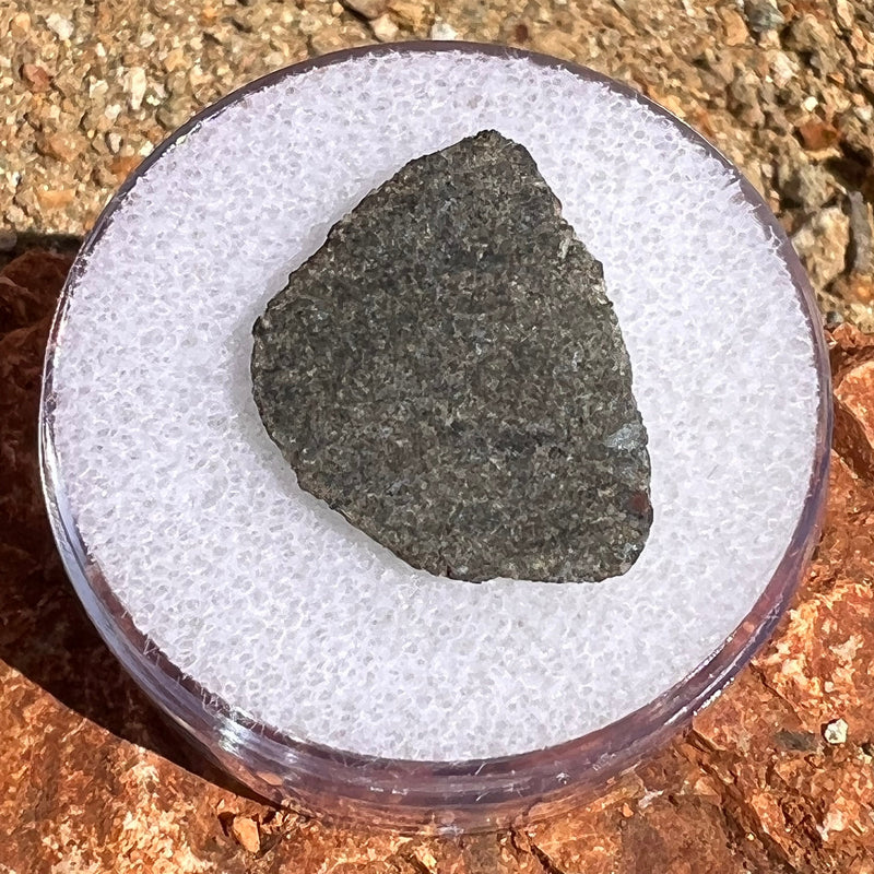 NWA 12269 Mars Meteorite Slice #51-Moldavite Life