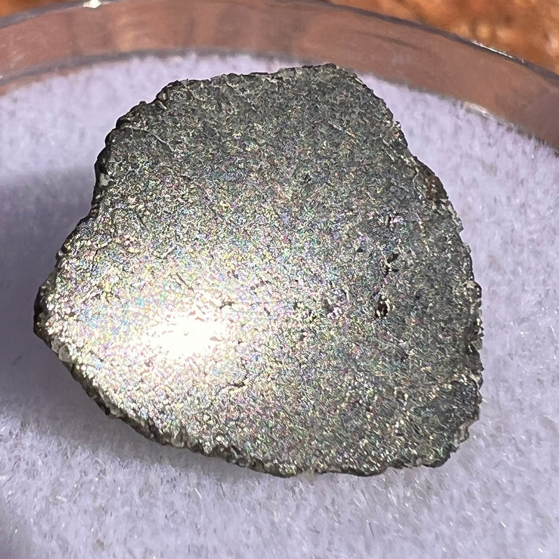 NWA 12269 Mars Meteorite end cut polished Window #55-Moldavite Life