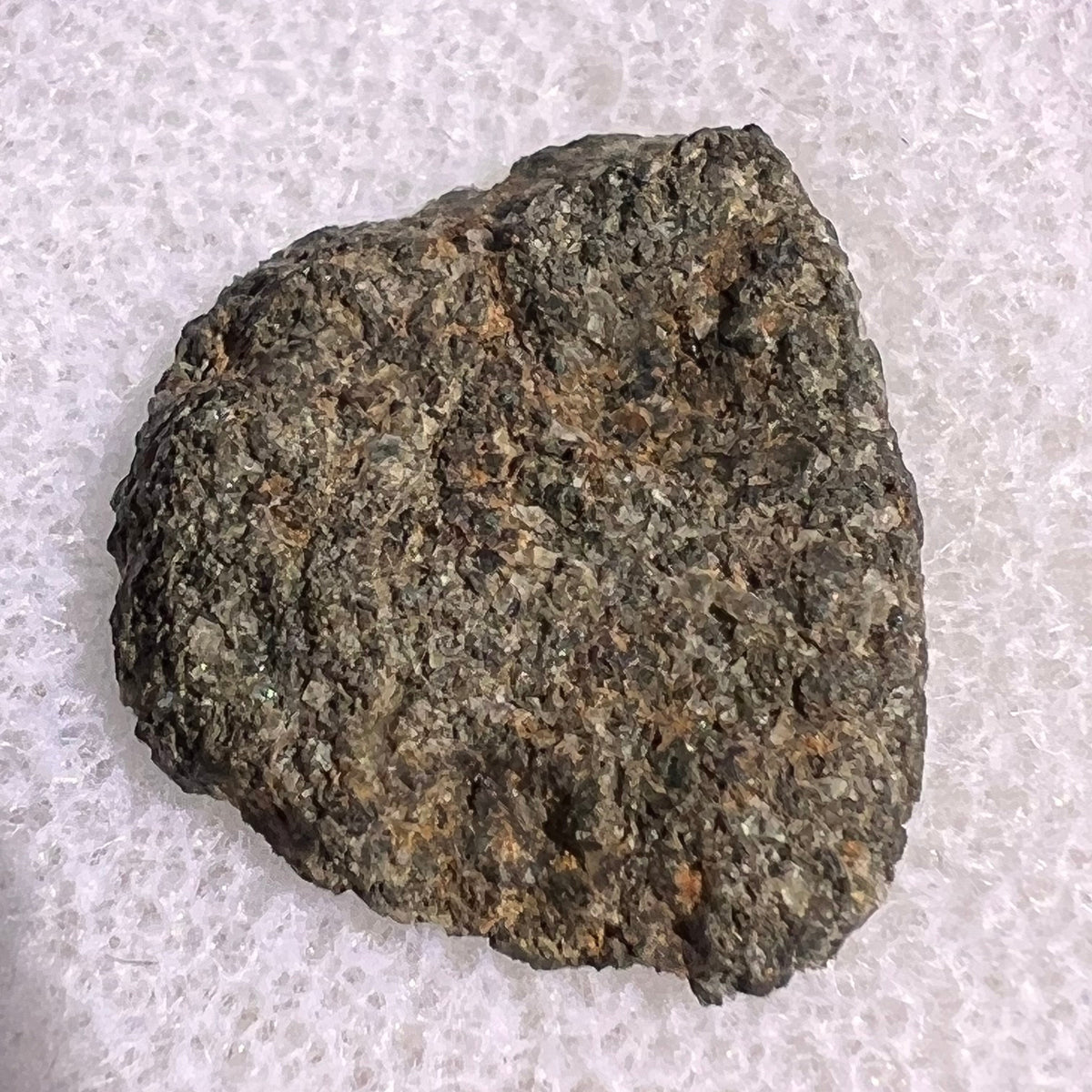 NWA 12269 Mars Meteorite end cut with Window #52-Moldavite Life